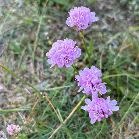 Lejlighed Idyllisk Rekreasjonsleilighet Naer Sjo Fredrikstad