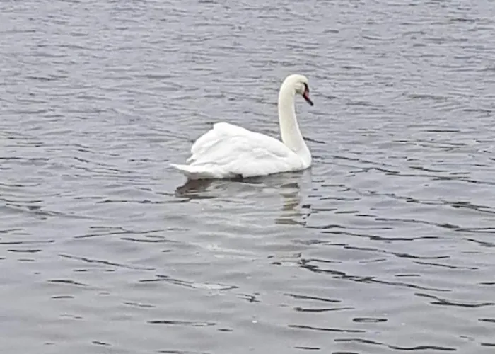 Idyllisk Rekreasjonsleilighet Naer Sjo 腓特烈斯塔