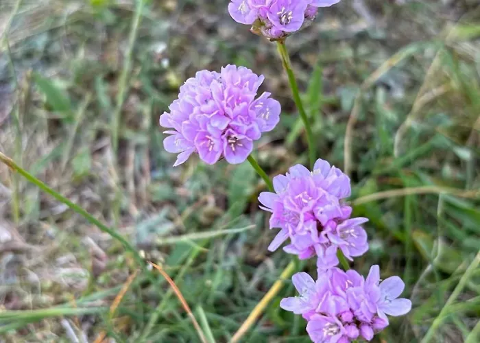 公寓 Idyllisk Rekreasjonsleilighet Naer Sjo 腓特烈斯塔