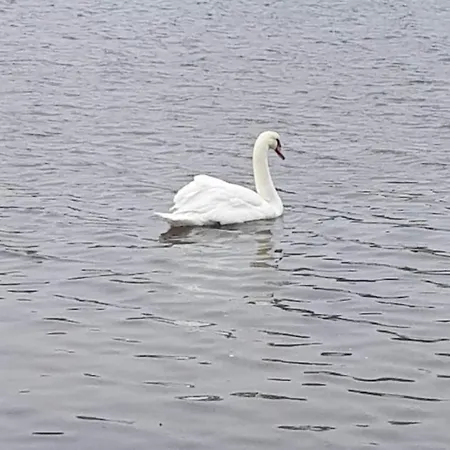 Idyllisk Rekreasjonsleilighet Naer Sjo Fredrikstad